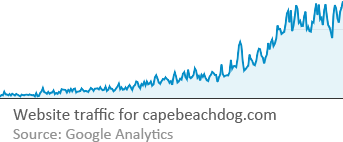 Line chart showing capebeachdog.com's website traffic climbing sharply over time, with the caption 'Website traffic for capebeachdog.com — Source: Google Analytics'
